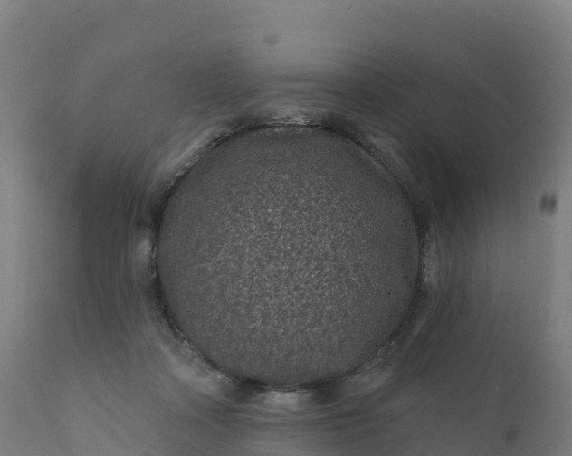 X0000112420314200908281844