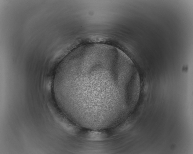 X0000112420315200908281844