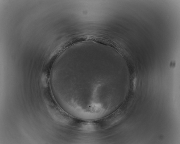 X0000112420316200908281844