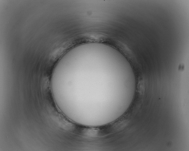 X0000112420318200908281844