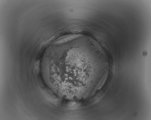 X0000112420319200908281844