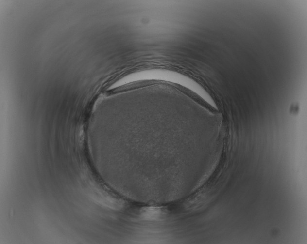 X0000112420320200908281844