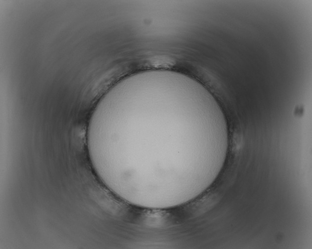 X0000112420321200908281844