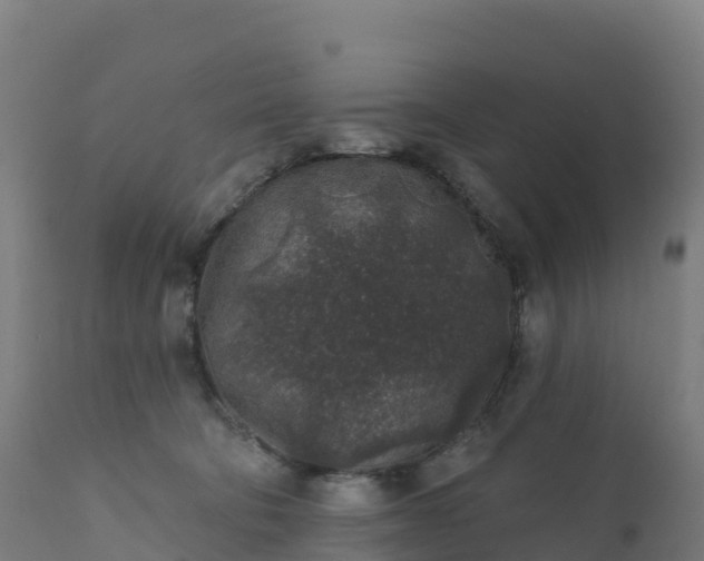 X0000112420322200908281844