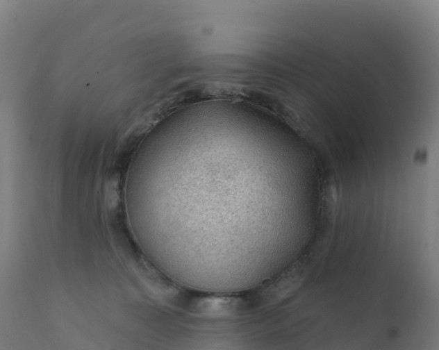 X0000112420323200908281844