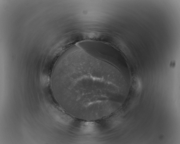 X0000112420324200908281844