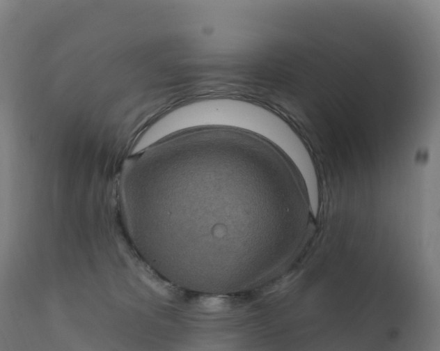 X0000112420325200908281844