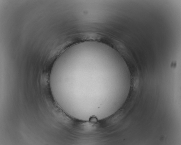 X0000112420326200908281844