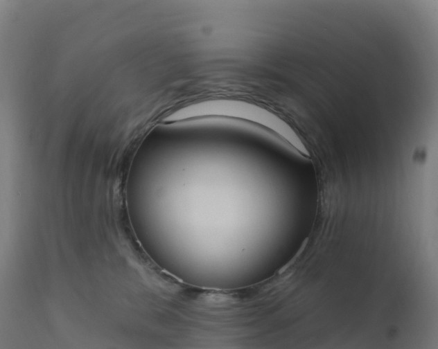 X0000112420327200908281844