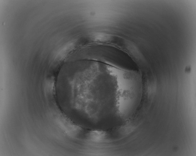 X0000112420328200908281844