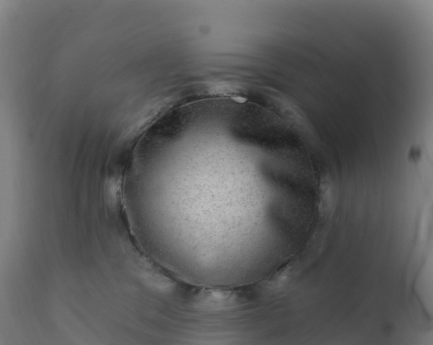 X0000112420329200908281844