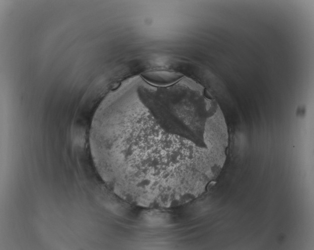 X0000112420331200908281844