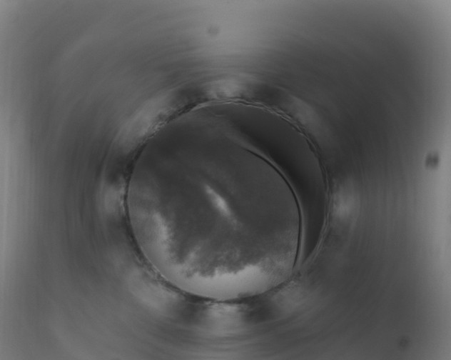 X0000112420332200908281844