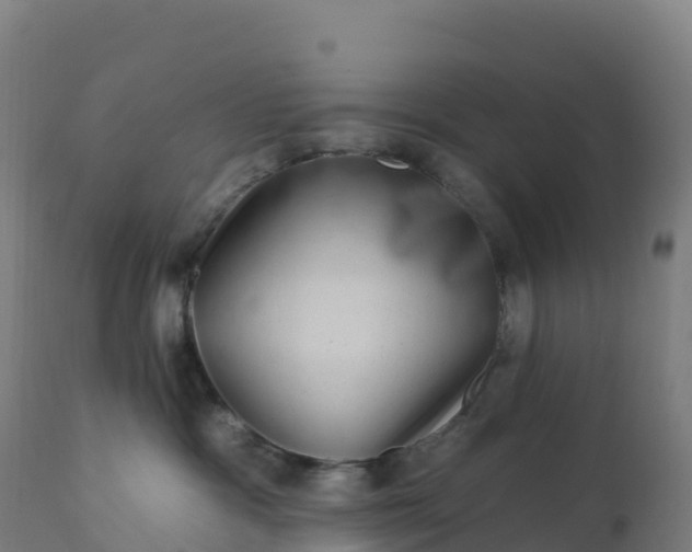 X0000112420333200908281844