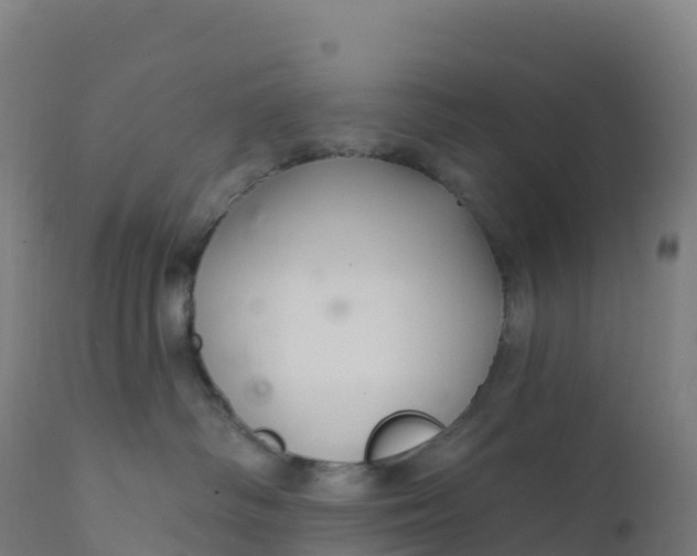 X0000112420334200908281844