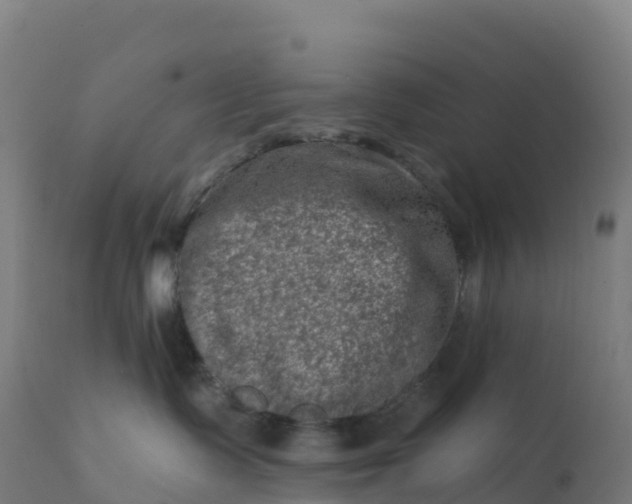 X0000112420335200908281844