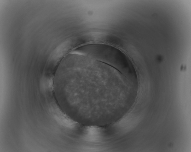 X0000112420336200908281844