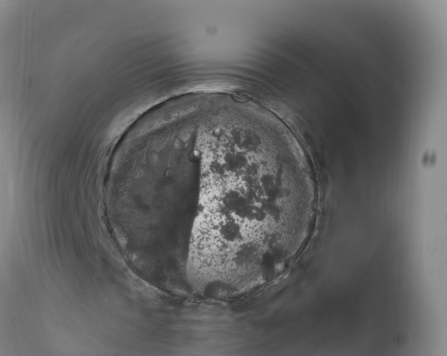 X0000112420337200908281843