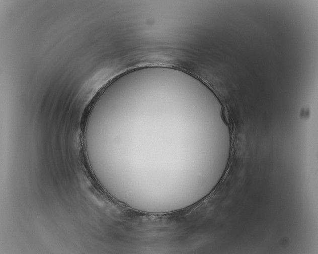 X0000112420338200908281844