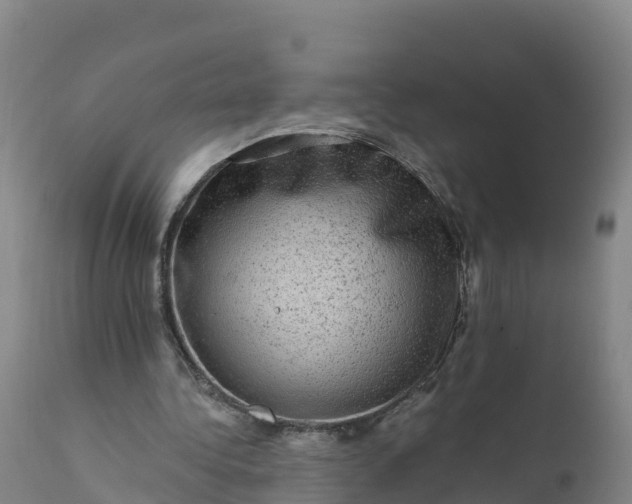 X0000112420340200908281844