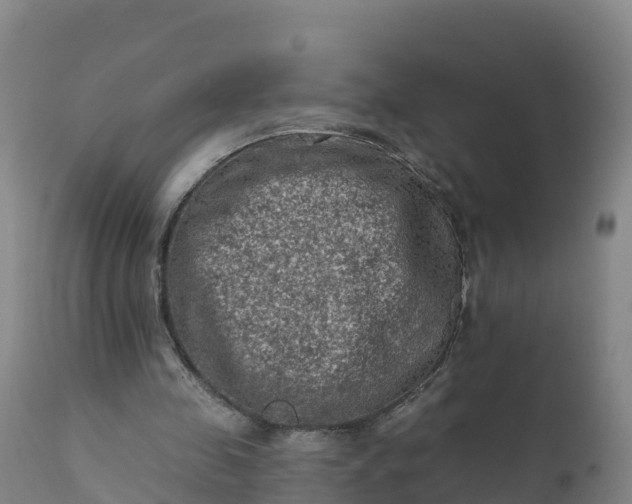 X0000112420341200908281844