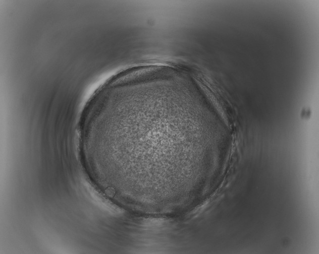 X0000112420342200908281844