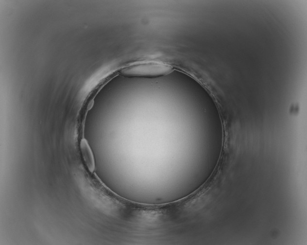 X0000112420344200908281844