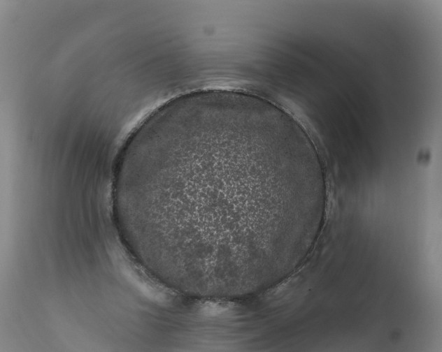 X0000112420346200908281844