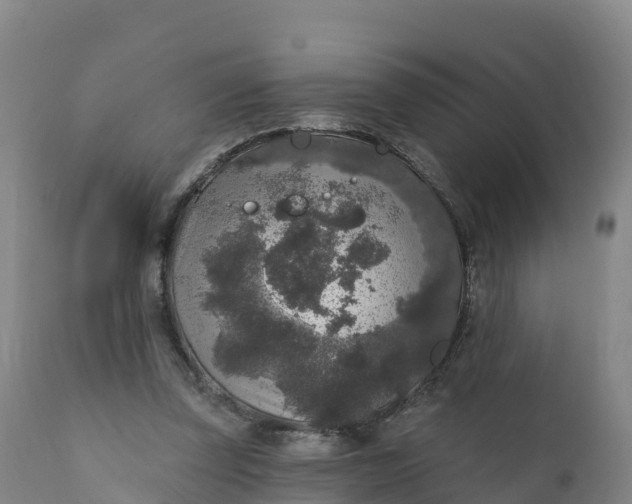 X0000112420347200908281844