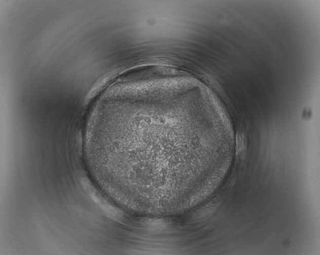 X0000112420349200908281844