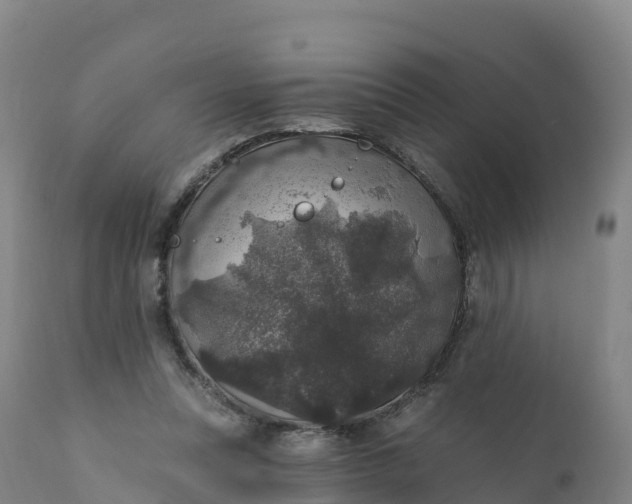 X0000112420351200908281844