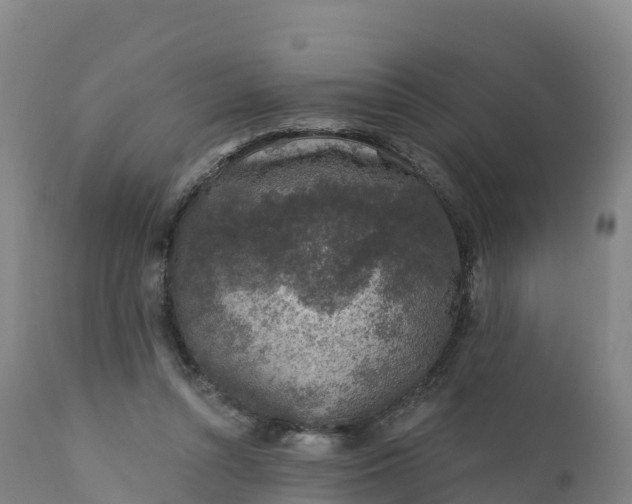 X0000112420352200908281844