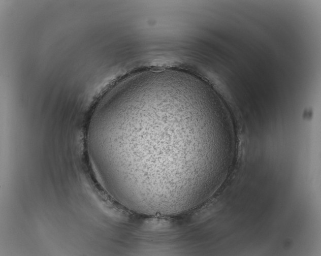 X0000112420354200908281844