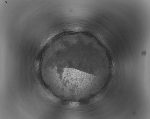 X0000112420355200908281844