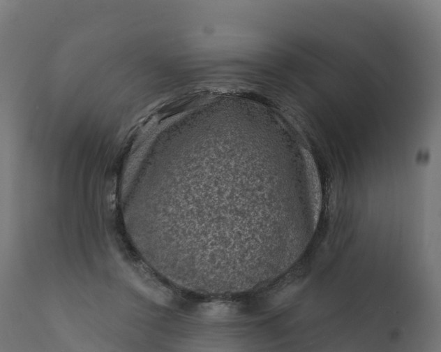 X0000112420356200908281844