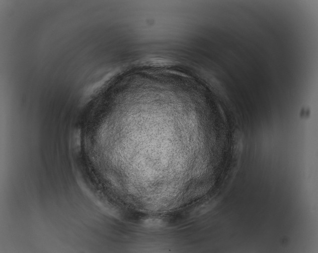 X0000112420358200908281844