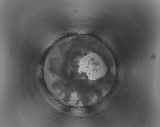 X0000112420359200908281844