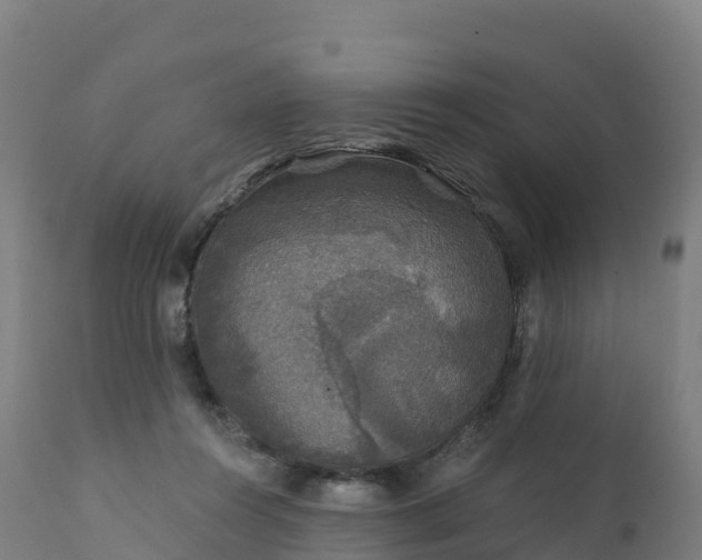 X0000112420360200908281844