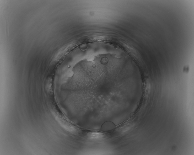 X0000112420361200908281844