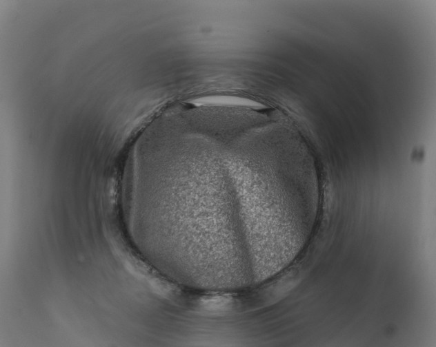 X0000112420362200908281844