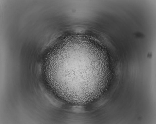 X0000112420363200908281844