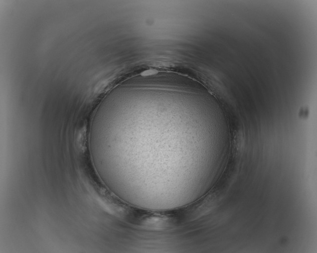 X0000112420364200908281844