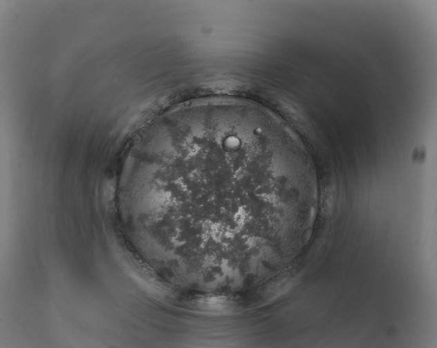 X0000112420365200908281844