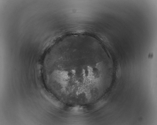 X0000112420366200908281844