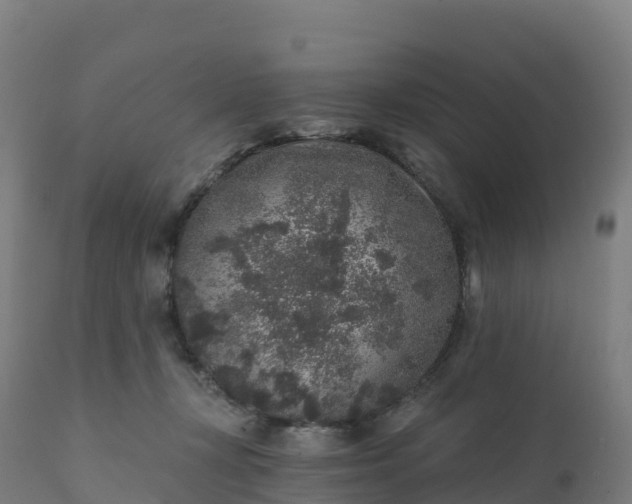 X0000112420367200908281844