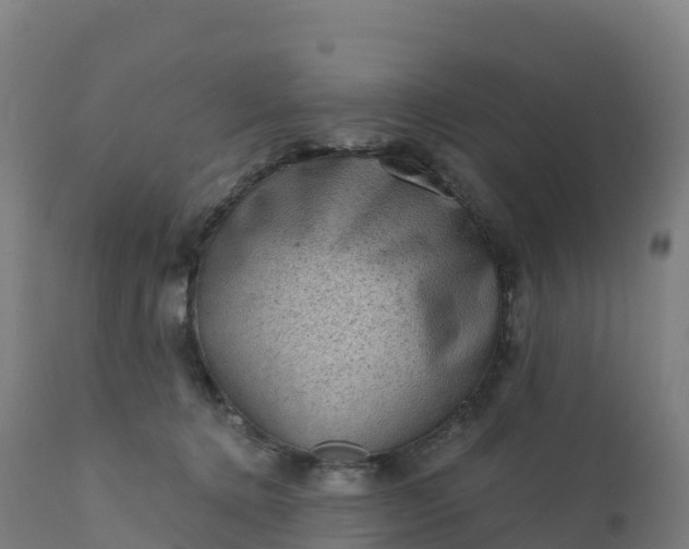 X0000112420368200908281844