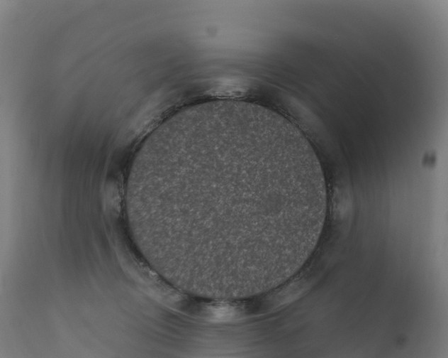 X0000112420370200908281844