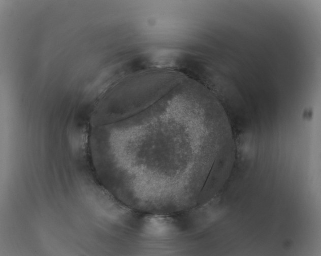 X0000112420372200908281844