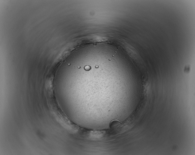 X0000112420373200908281844