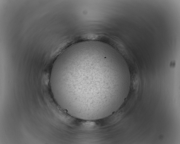 X0000112420374200908281844